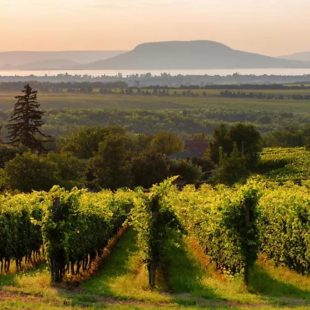 Holiday home - Balaton 18403 *